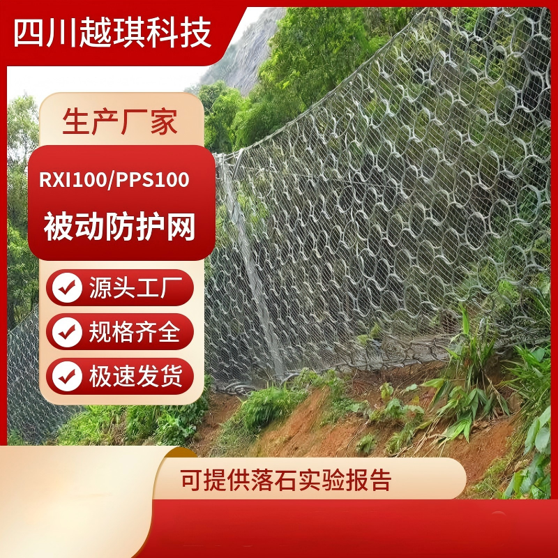 RXI100 PPS100被动防护网.jpg